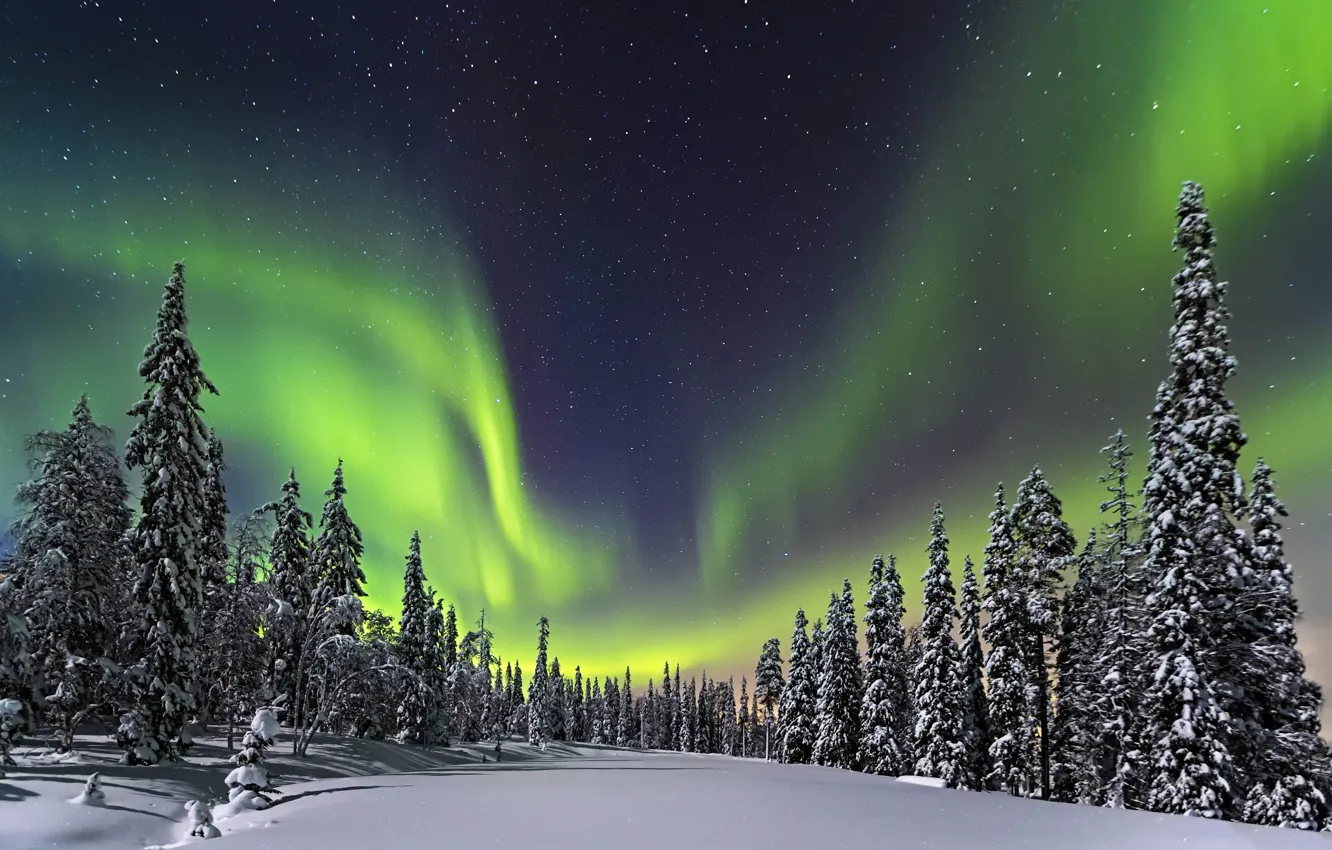 Фото обои зима, лес, небо, звезды, снег, ночь, северное сияние