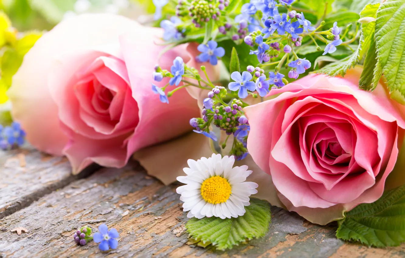 Фото обои розы, лепестки, pink, flowers, romantic, roses