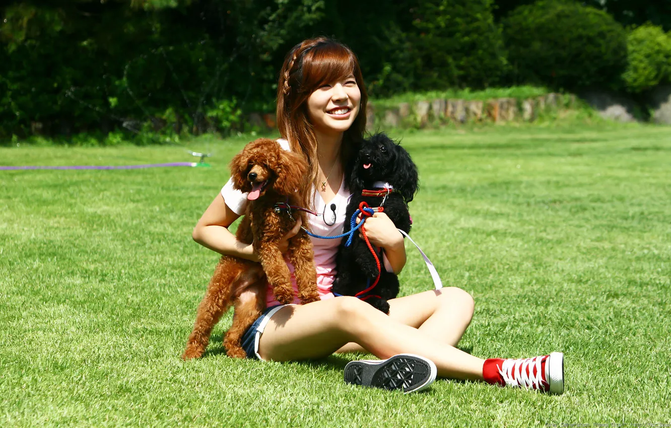 Фото обои животные, собаки, девушка, природа, музыка, азиатка, SNSD, Girls Generation