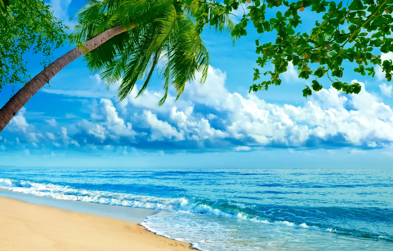 Фото обои песок, море, облака, тропики, пальмы, берег, горизонт