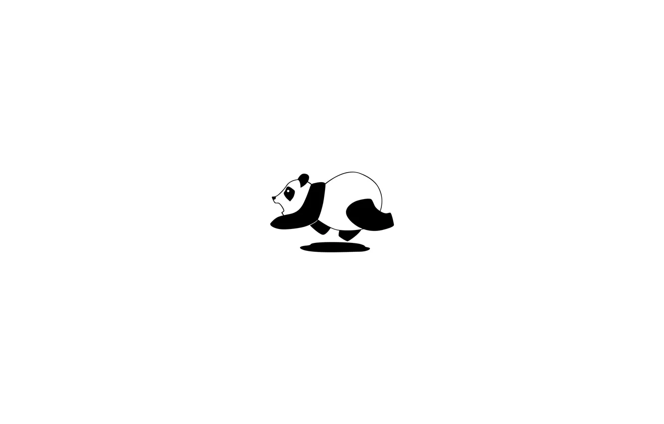 Фото обои черно-белый, белое, черное, панда, white, black, black and white, panda
