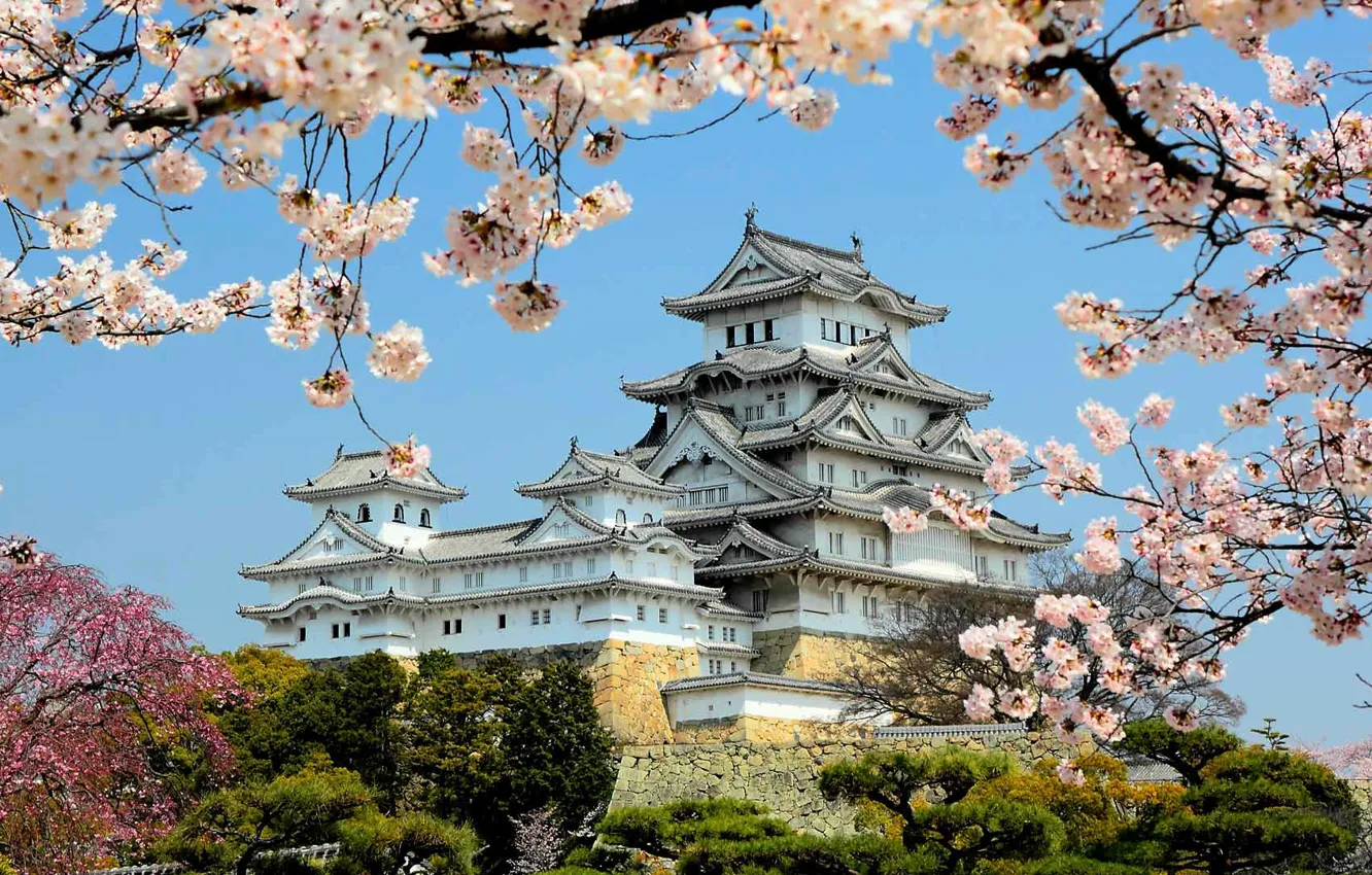 Фото обои весна, Япония, цветение, замок Химэдзи