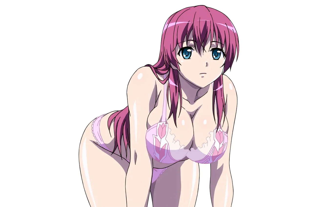 Фото обои girl, sexy, lingerie, pantsu, bra, cleavage, panties, pink hair