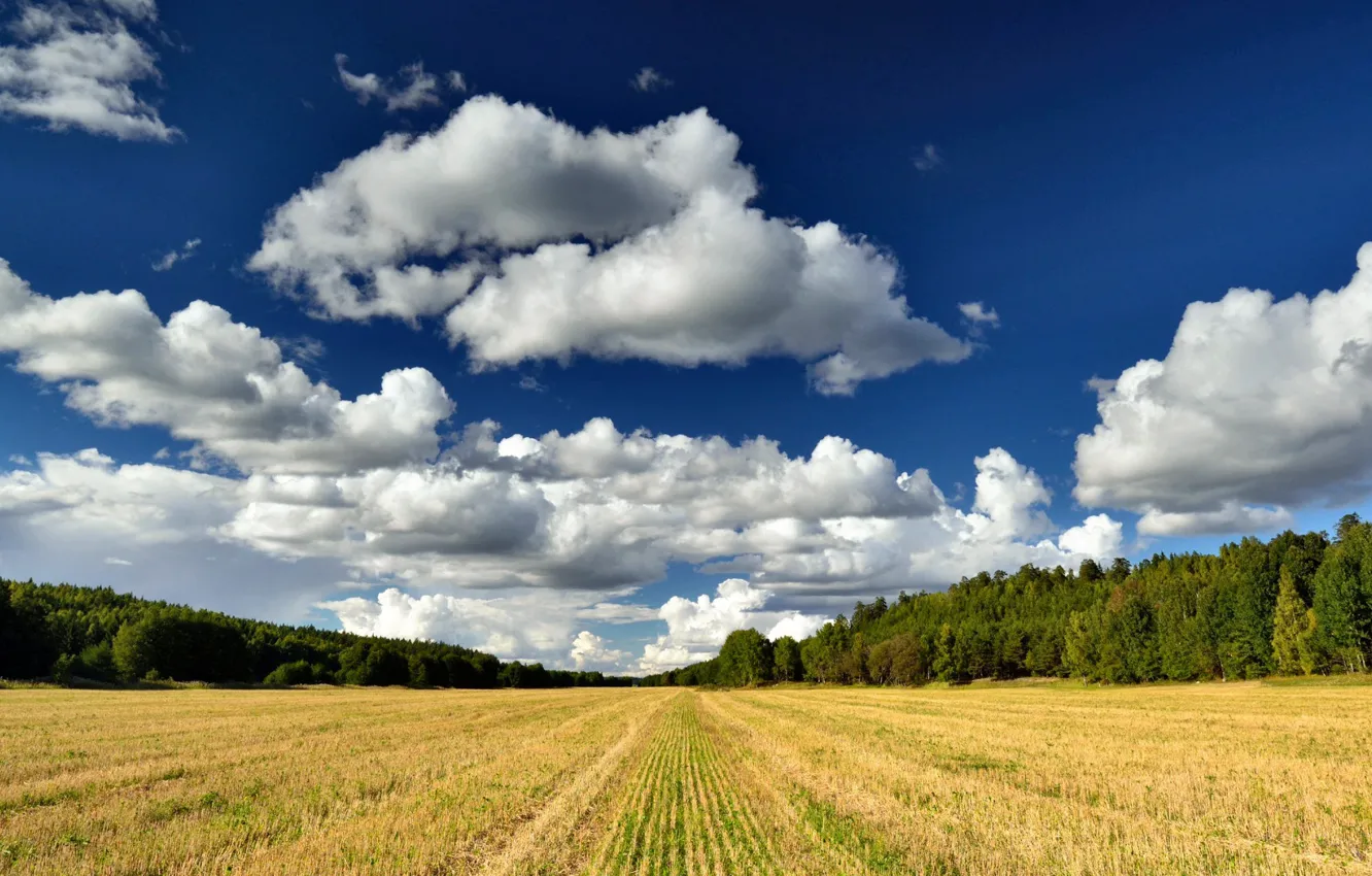 Фото обои Nature, Clouds, Sky, Field