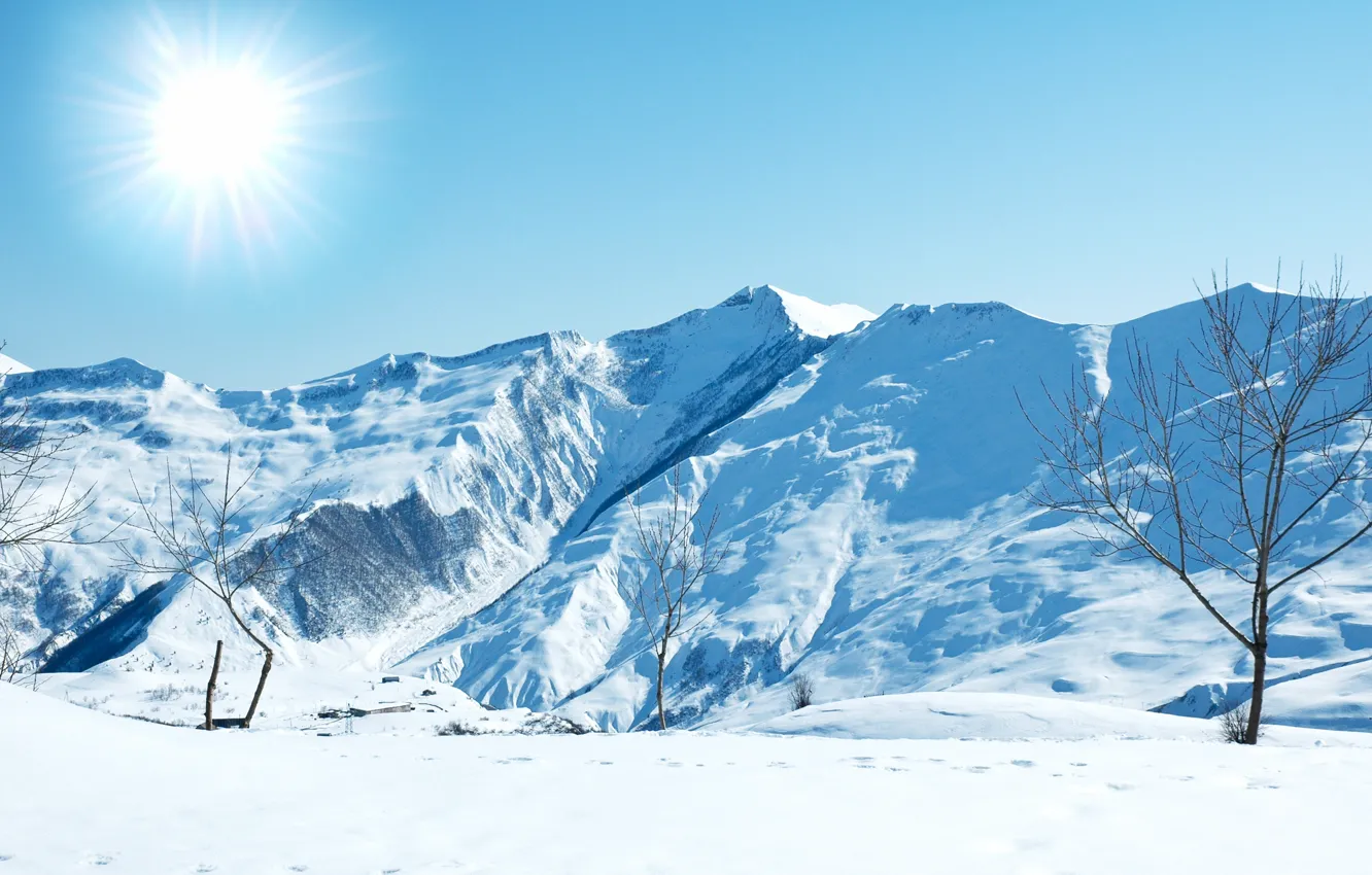 Фото обои зима, солнце, снег, пейзаж, горы, дерево