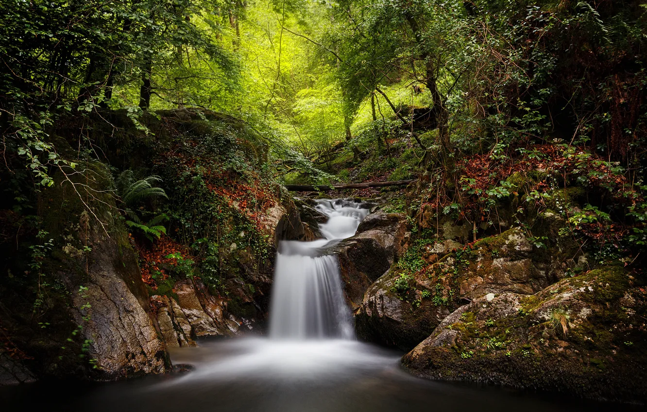 Фото обои лес, ручей, водопад, Испания, Spain, Наварра, Navarre, Goizueta