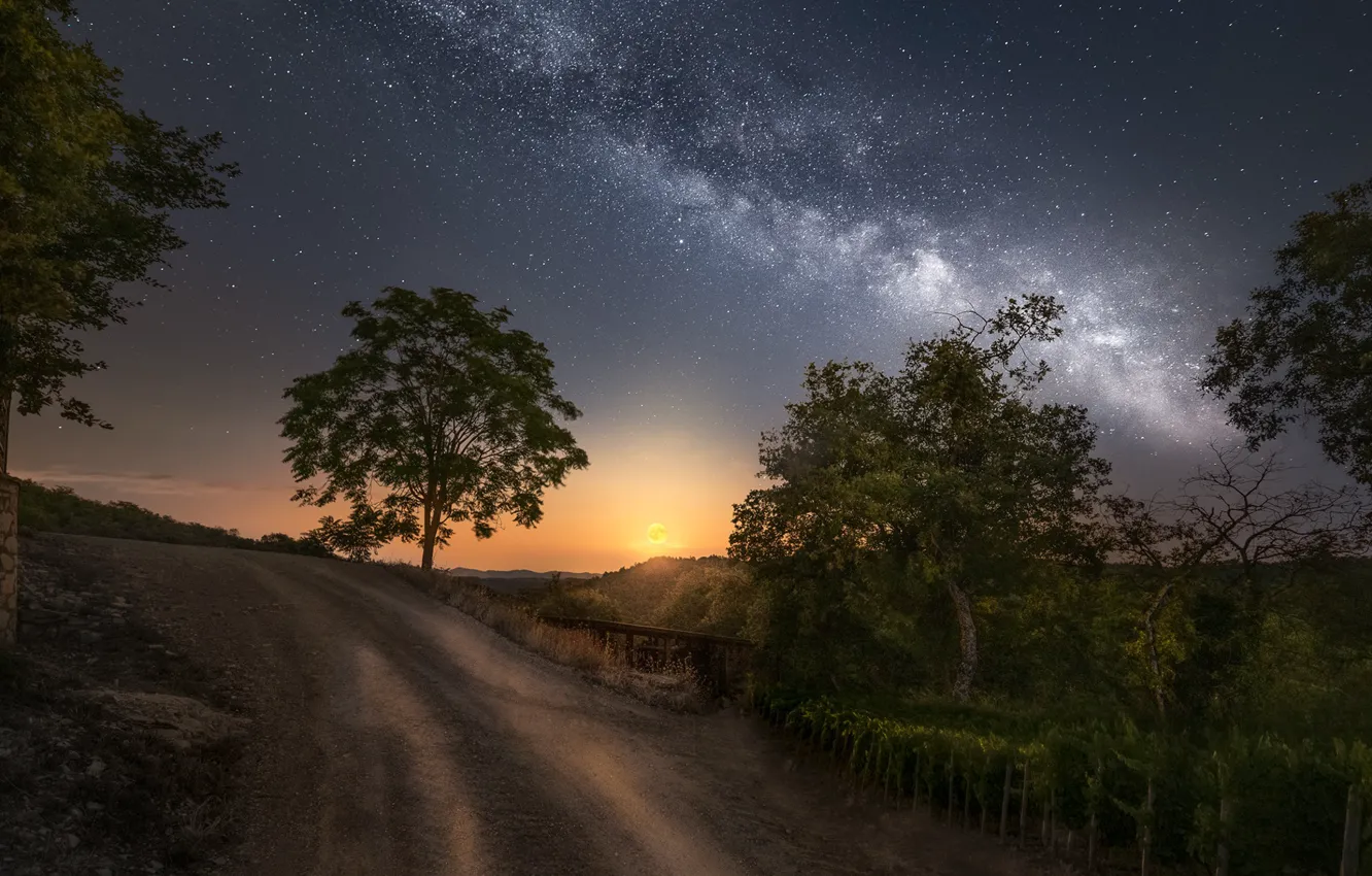 Фото обои небо, деревья, ночь, млечный путь, Ole Henrik Skjelstad