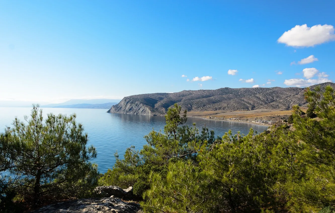 Фото обои пейзаж, побережье, сосны, Крым, Чёрное море