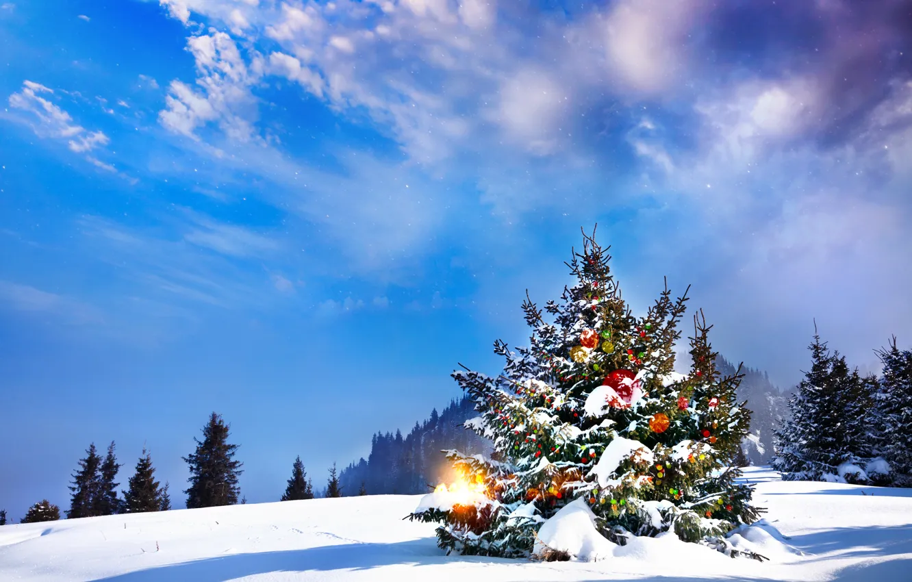Фото обои зима, снег, елка, Новый Год, Рождество, Christmas, landscape, winter
