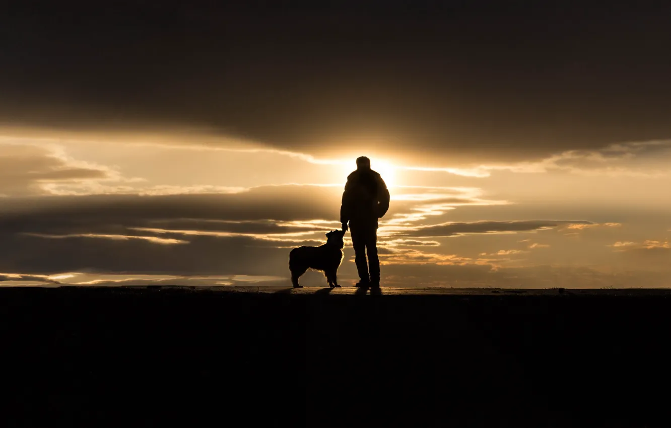 Фото обои закат, человек, собака, Portland, Maine, Sumner Park, The Touch