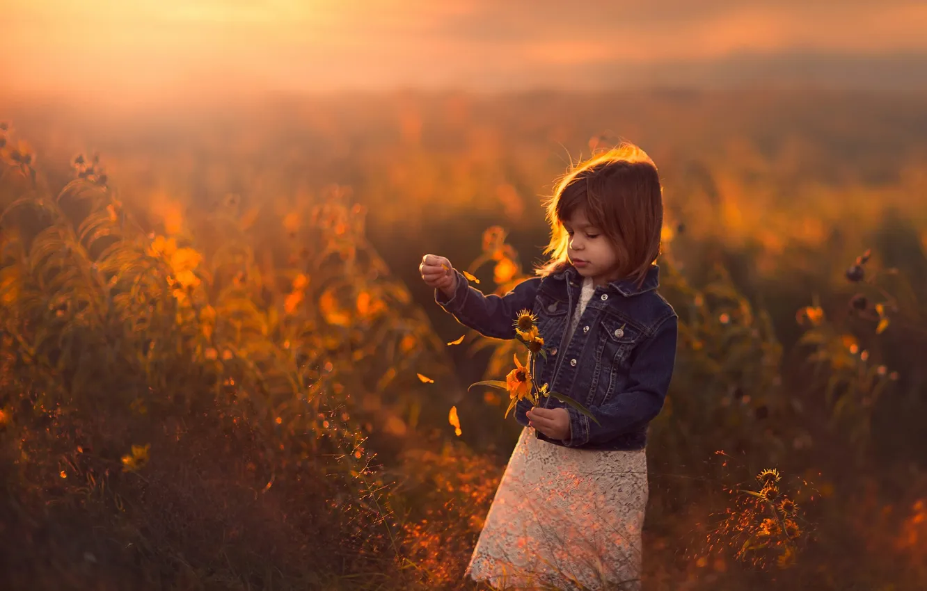 Фото обои поле, закат, цветы, девочка