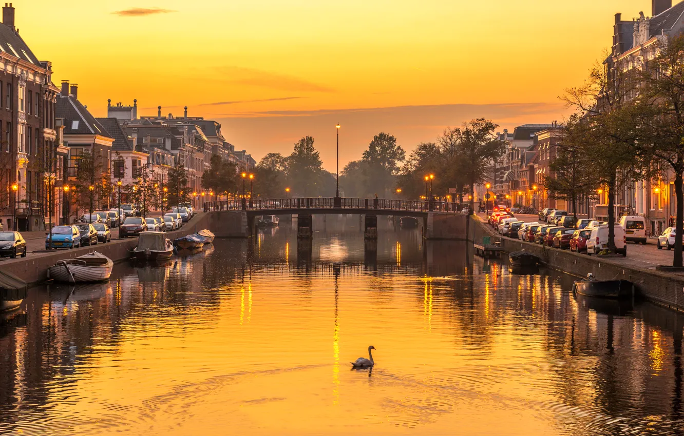 Фото обои мост, река, дома, вечер, лебедь, Нидерланды, Харлем