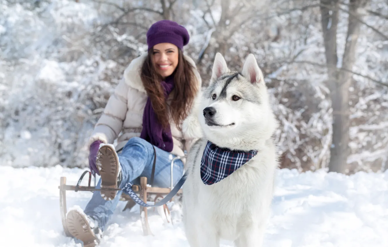 Фото обои зима, глаза, девушка, деревья, природа, настроение, собака, хаски