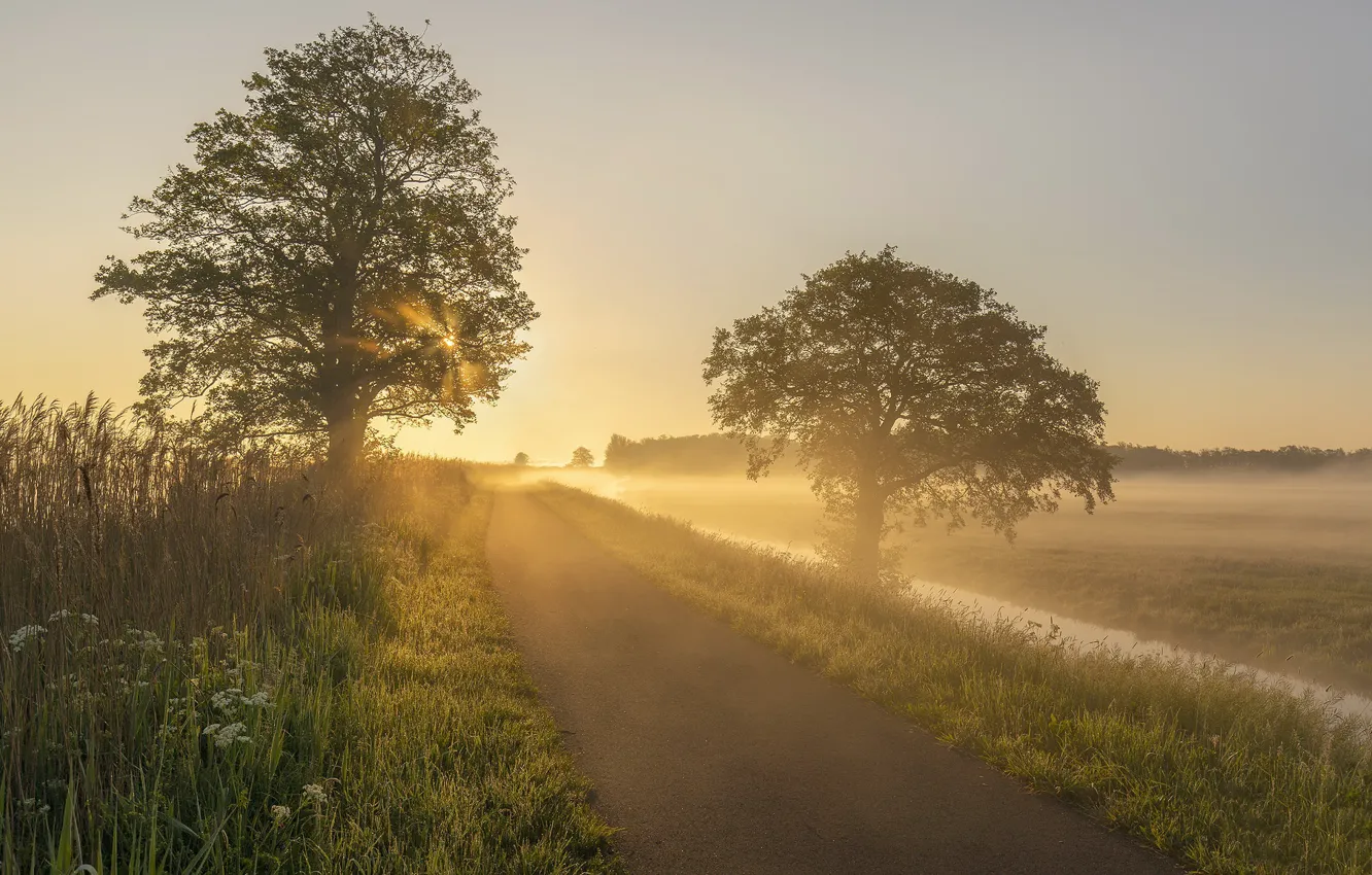 Фото обои Holland, Sunrise, Early Mornings, Alblasserwaard, Kooiwijk