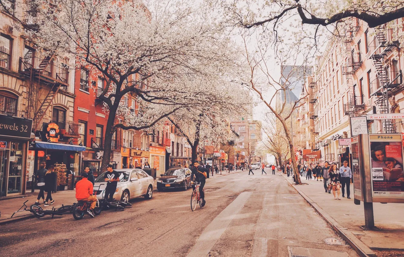 Фото обои деревья, велосипед, люди, улица, Нью-Йорк, неон, магазины, быт