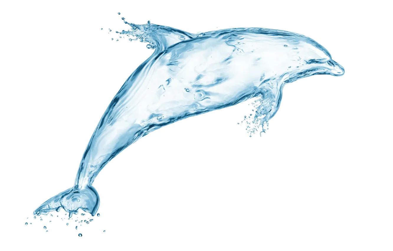 Фото обои вода, капли, брызги, дельфин, креатив, рисунок, всплеск, арт
