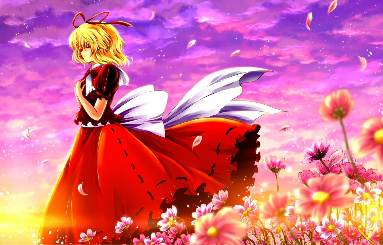 Фото обои поле, девушка, закат, цветы, ветер, арт, touhou, nekominase