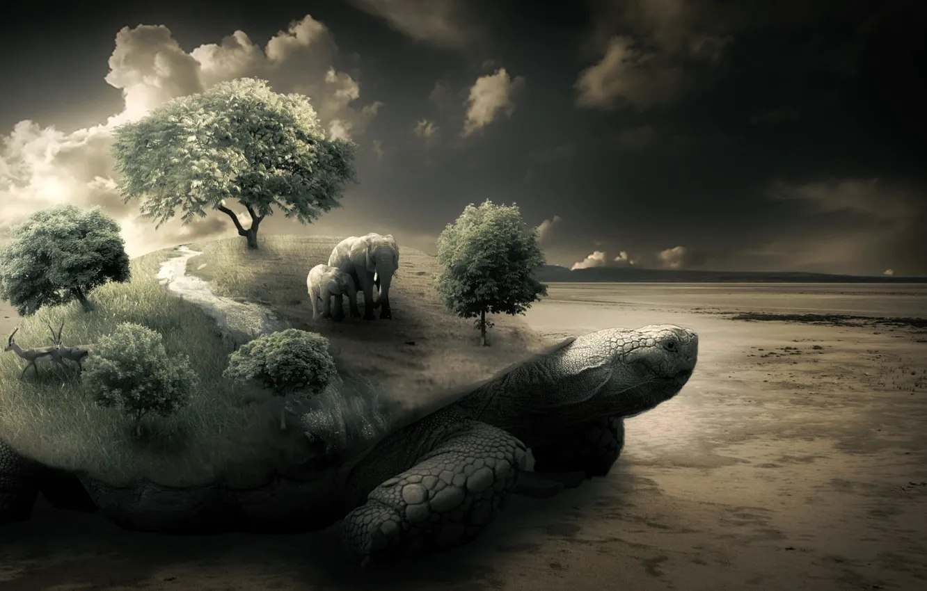 Фото обои животные, небо, трава, деревья, пустыня, даль, горизонт, слоны