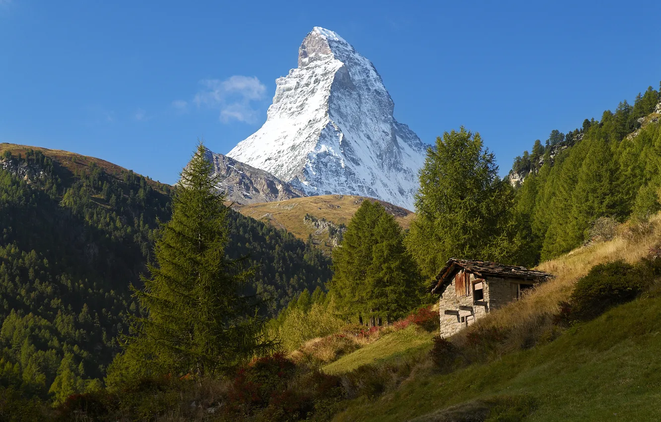 Фото обои небо, деревья, горы, голубое, Швейцария, склон, Альпы, домик