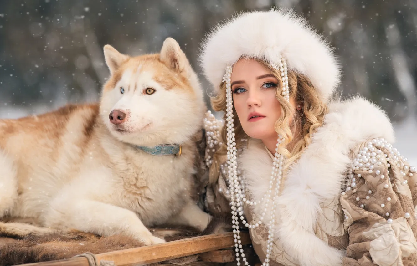 Фото обои зима, взгляд, девушка, снег, природа, поза, собака, костюм