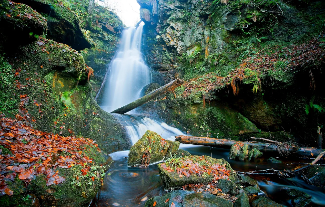 Фото обои листья, камни, водопад, Шотландия, брёвна
