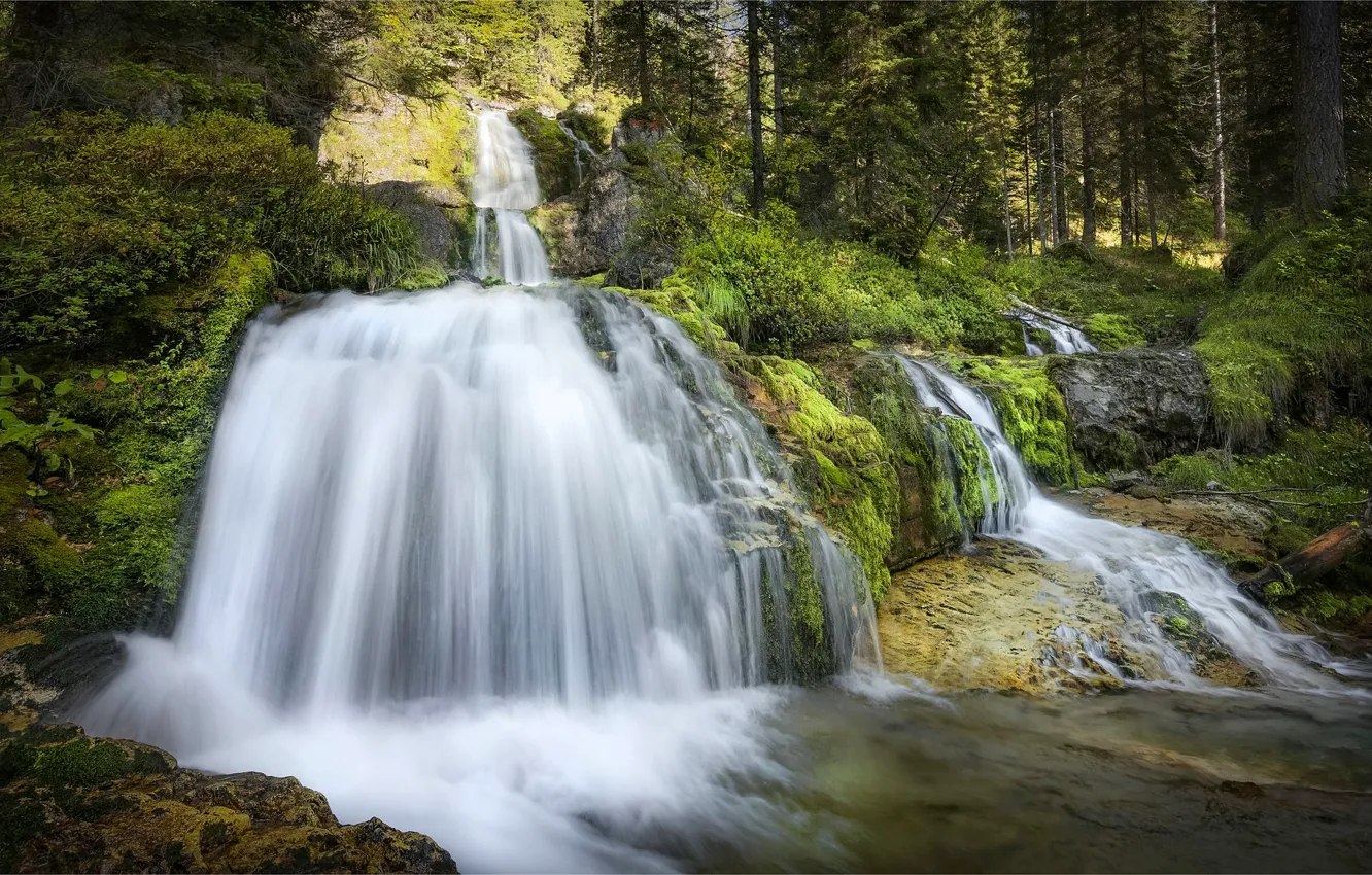 Фото обои лес, водопады, каскад, Italy, Trentino, Италтя, Трентино, Cascate di Vallesinella