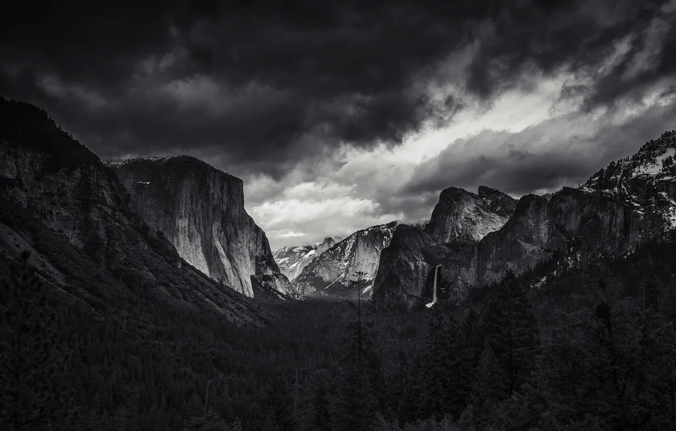 Фото обои лес, небо, горы, тучи, природа, скалы, черно-белое, США
