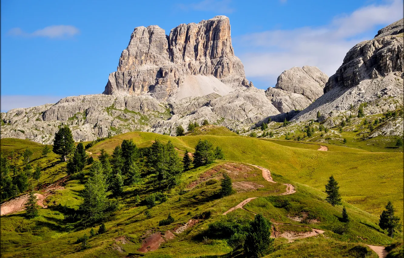 Фото обои небо, трава, деревья, горы, природа, Италия, Доломитовые Альпы, гора Аверау
