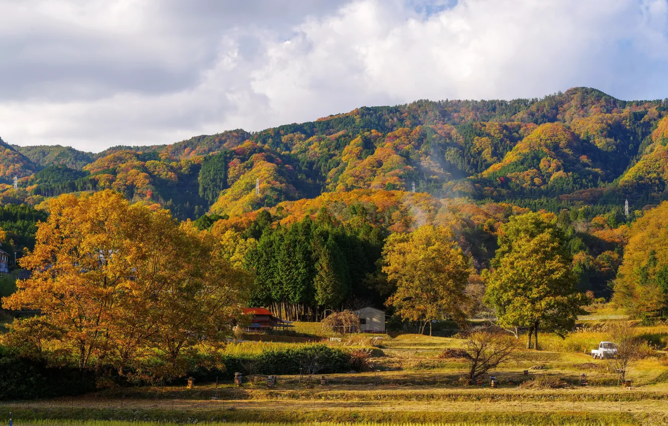 Фото обои поле, осень, лес, солнце, деревья, горы, урожай