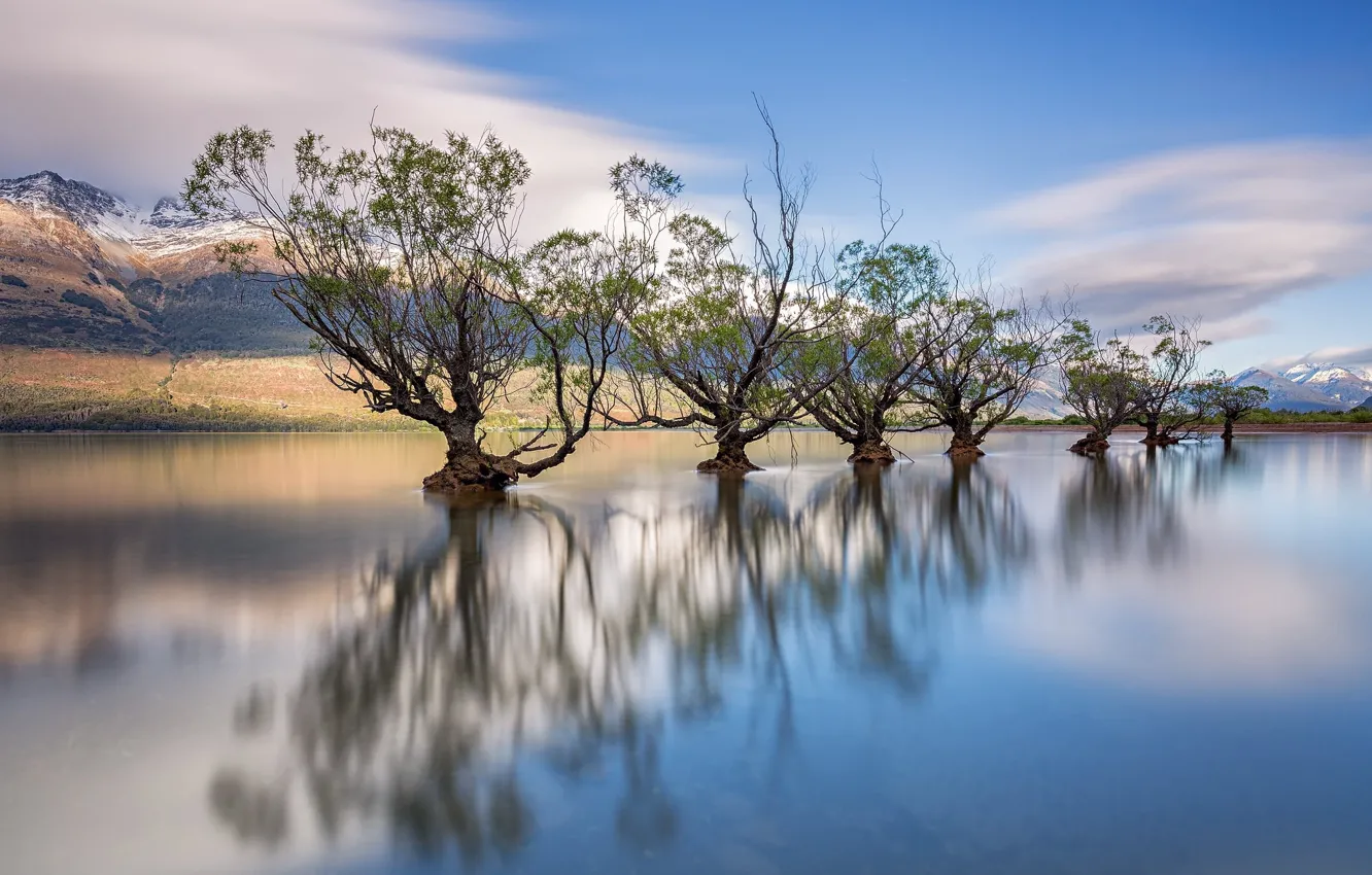 Фото обои деревья, озеро, трио