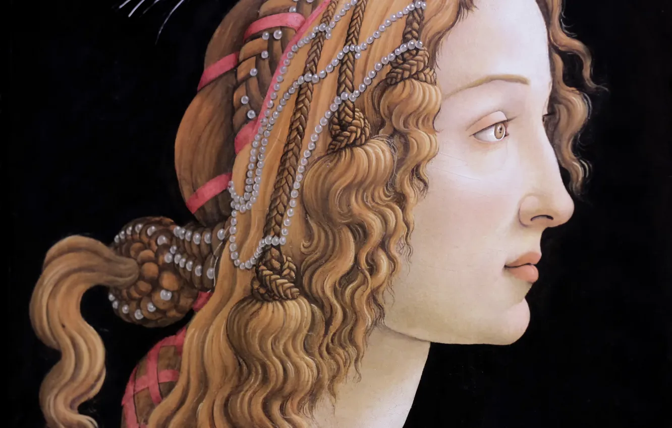 Фото обои картина, Франкфурт-на-Майне, Сандро Боттичелли, великий итальянский живописец, Sandro Botticelli, темпера, Симонетта Веспуччи, Портрет молодой женщины