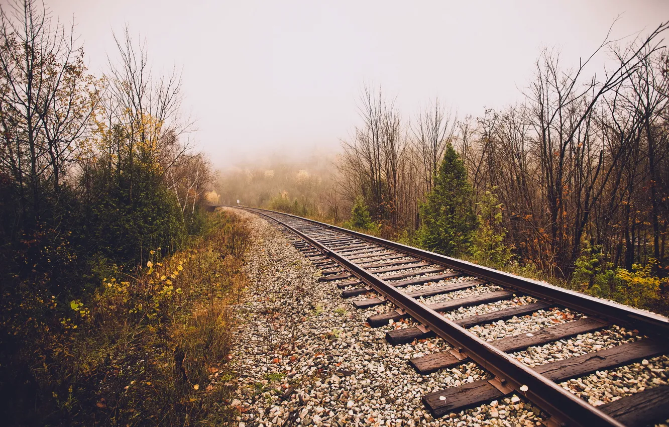 Фото обои природа, туман, железная дорога