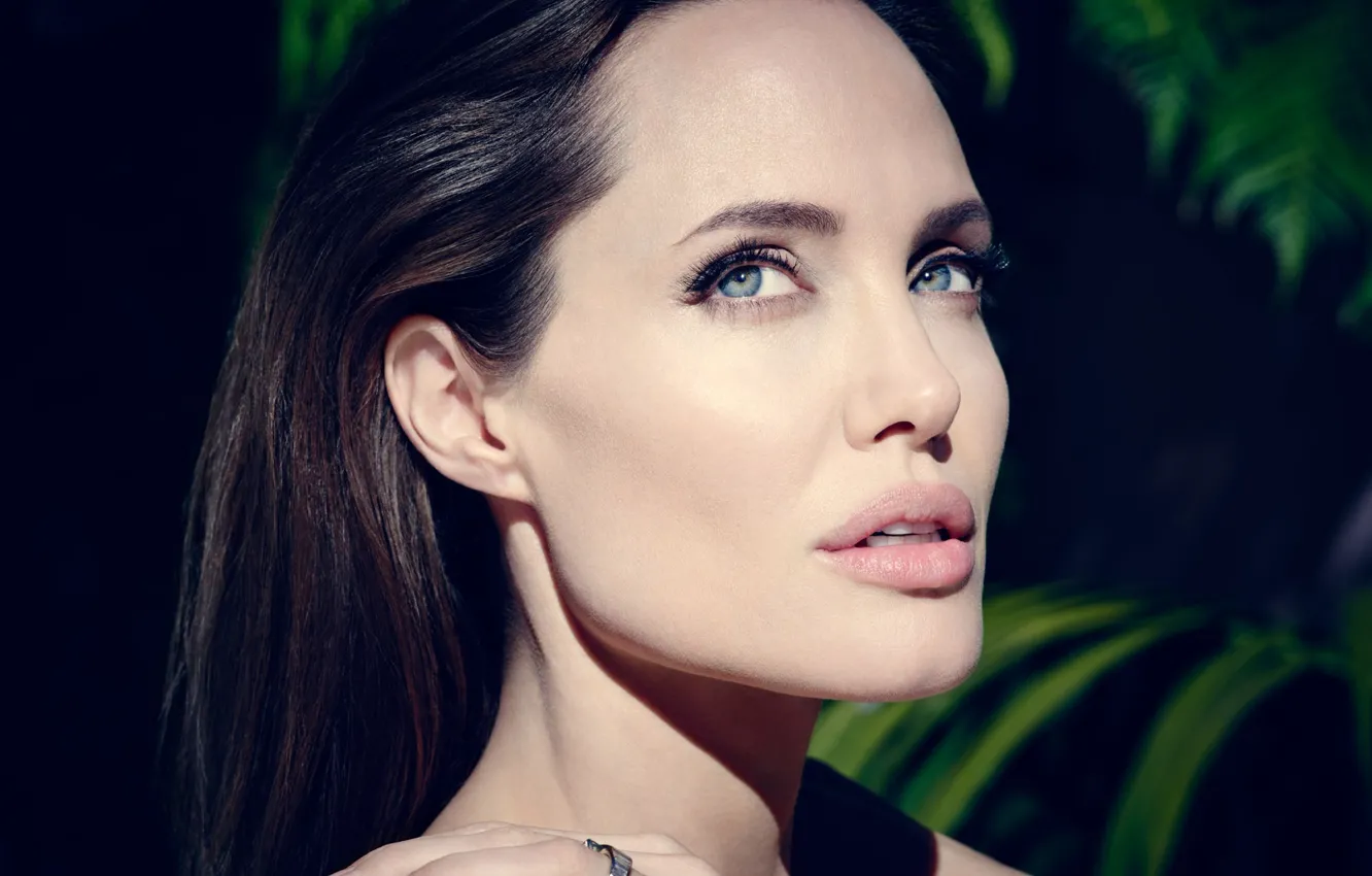 Фото обои портрет, актриса, Angelina Jolie