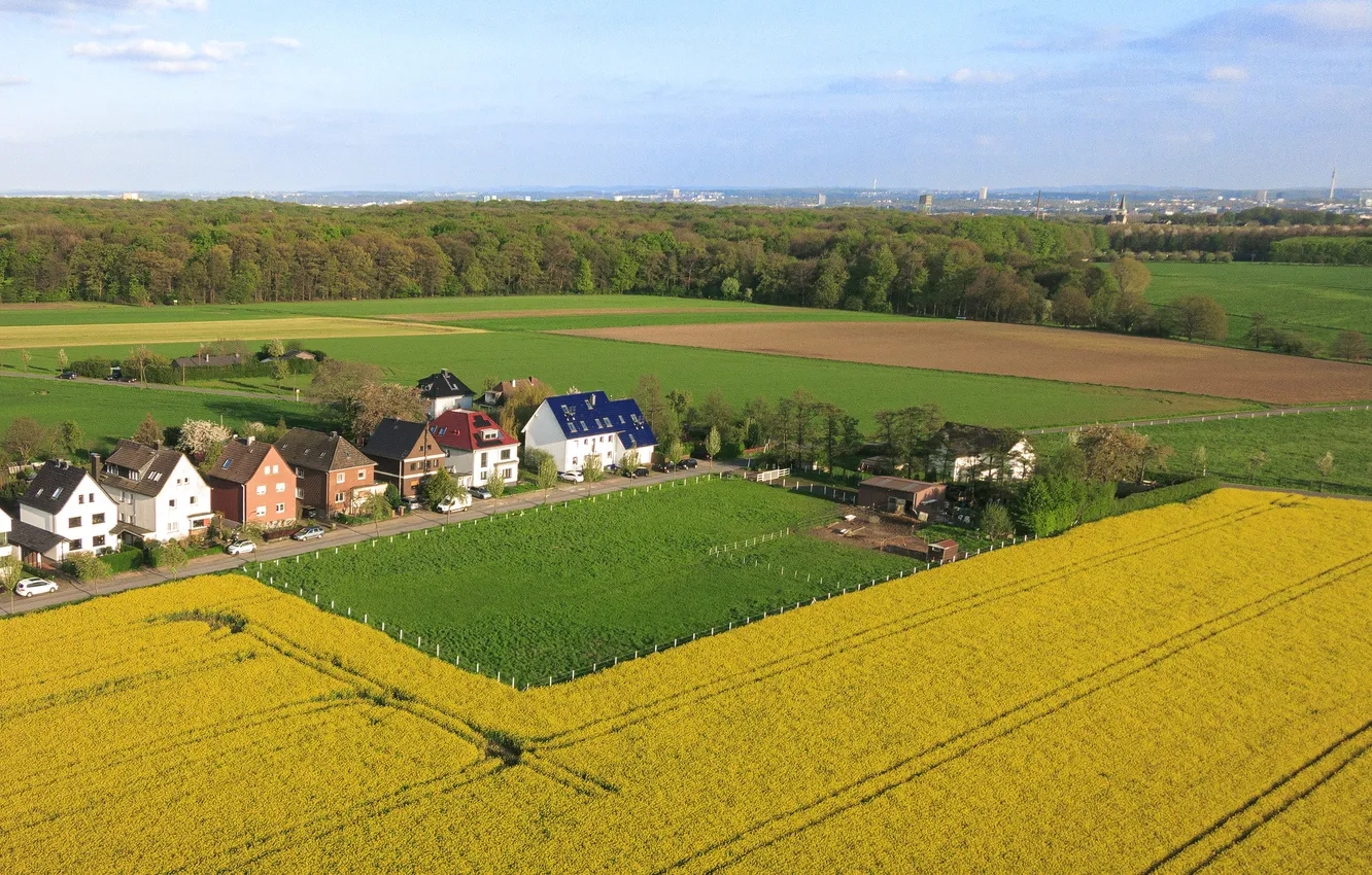 Фото обои поле, деревня, панорама, домики
