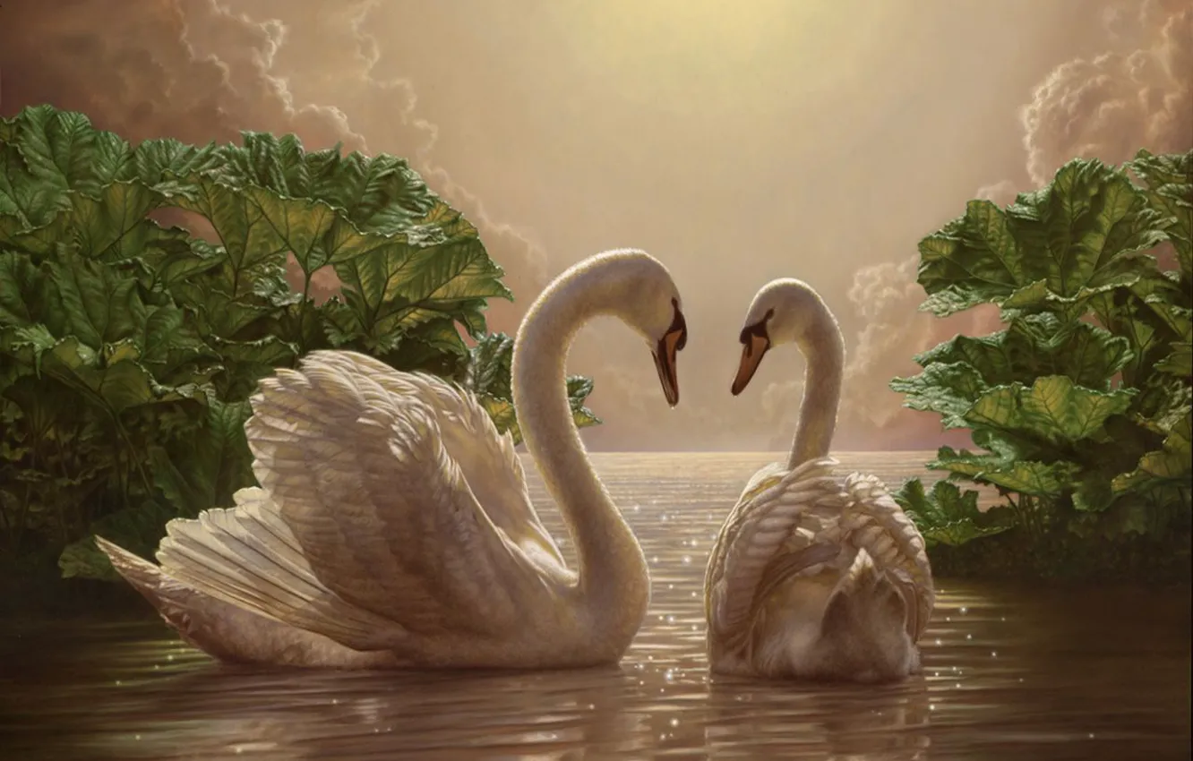 Фото обои романтика, картина, вечер, двое, лебеди