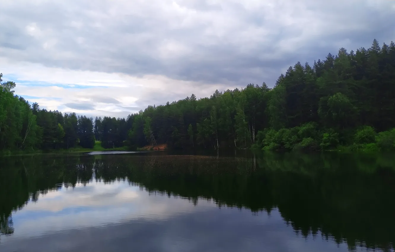 Фото обои лес, трава, деревья, озеро