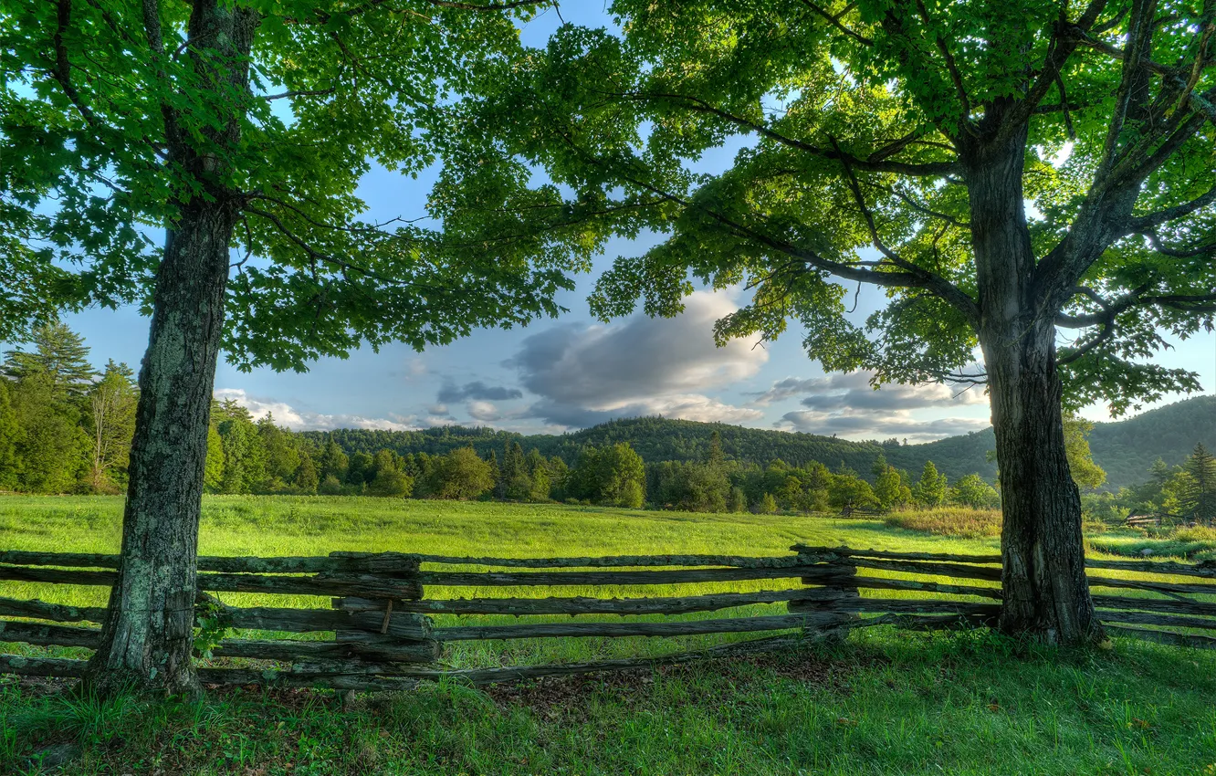 Фото обои деревья, забор, луг, New York, штат Нью-Йорк, Адирондак, Adirondack