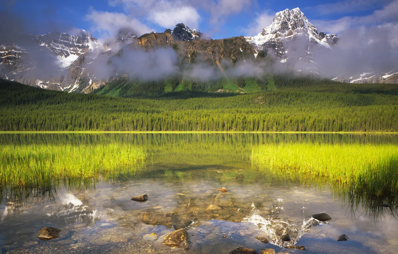 Фото обои лес, трава, горы, озеро, камни