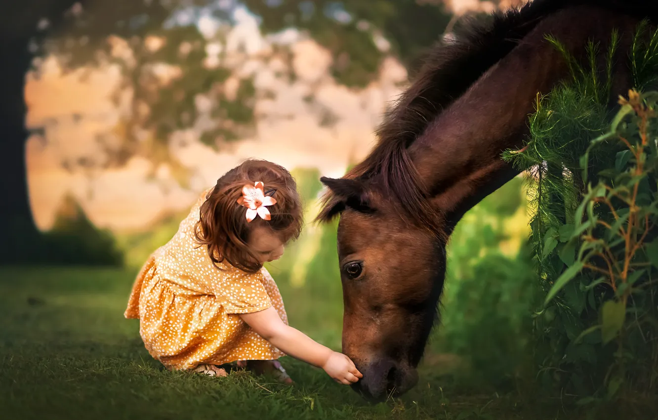 Фото обои лето, конь, девочка