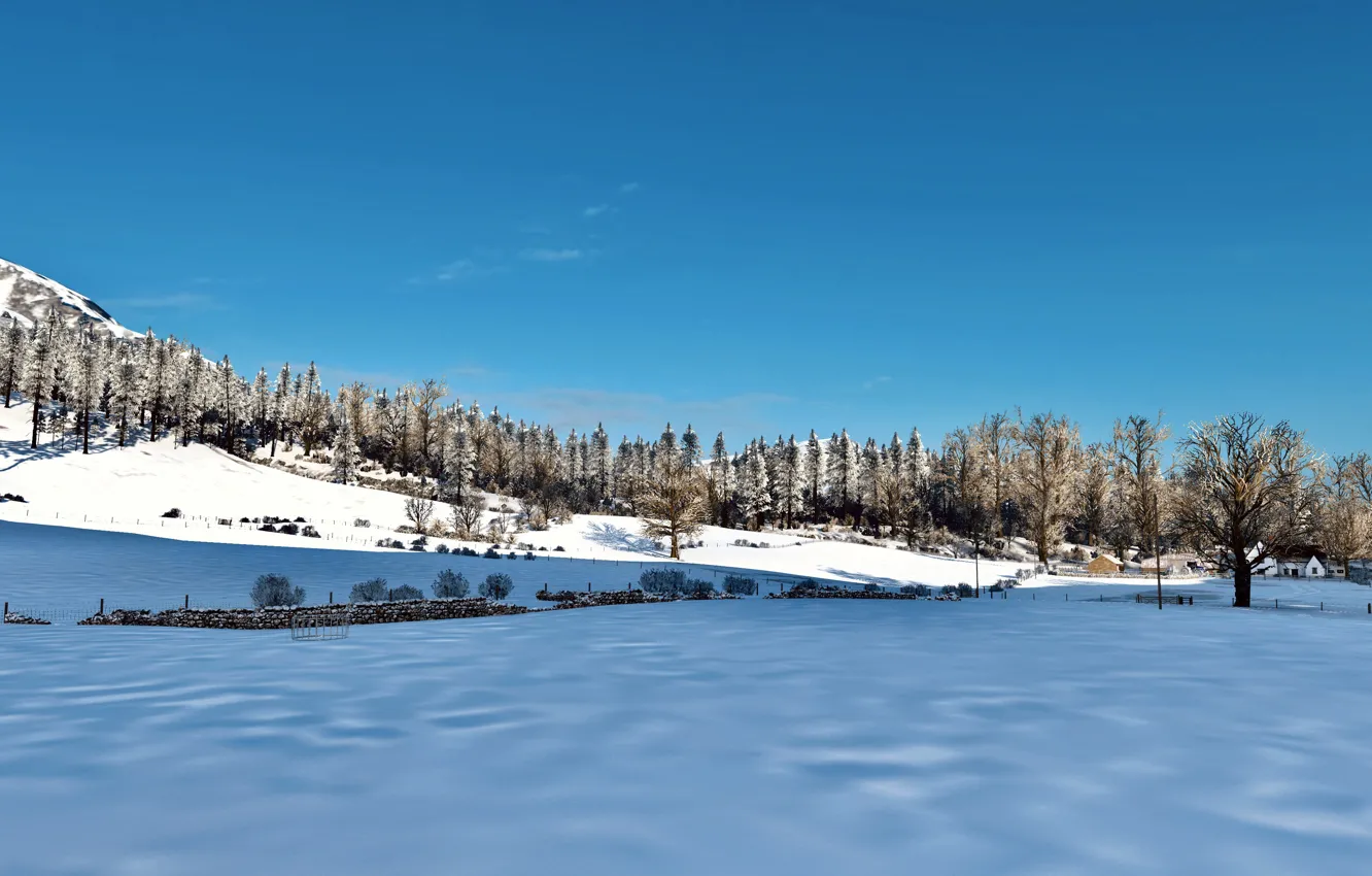 Фото обои HDR, Sky, Wood, Winter, Landscape, Snow, Game, Trees