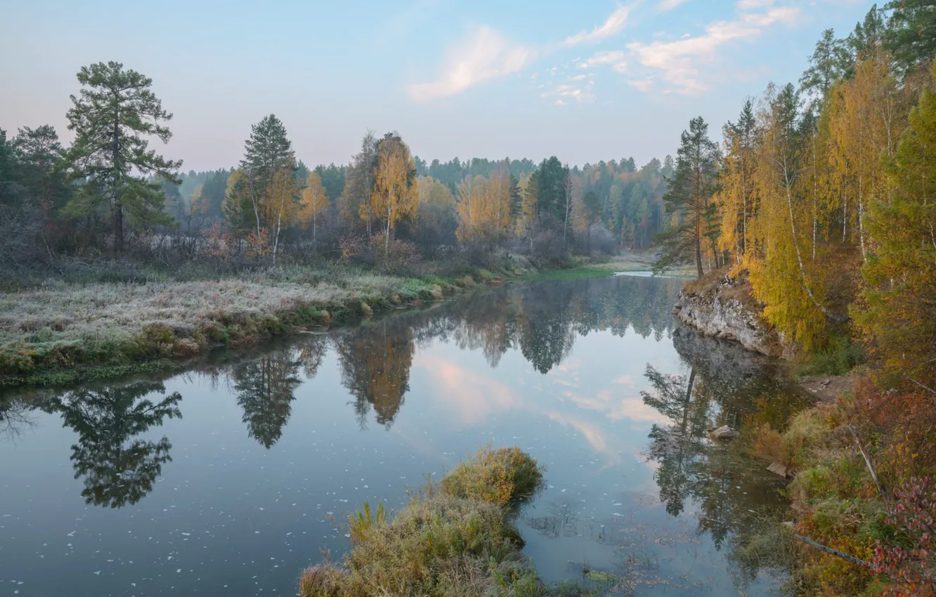 Фото обои осень, лес, деревья, туман, пруд, утро