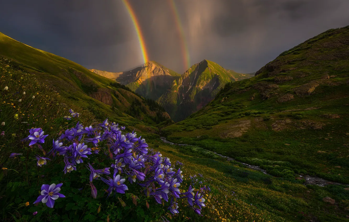 Фото обои цветы, горы, радуга, Колорадо, Colorado, San Juan Mountains, аквилегия, Горы Сан-Хуан