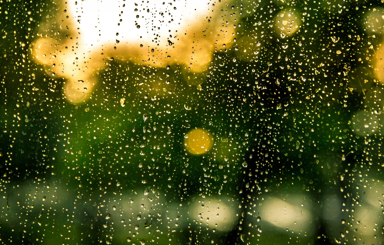 Фото обои glass, rain, water, drops