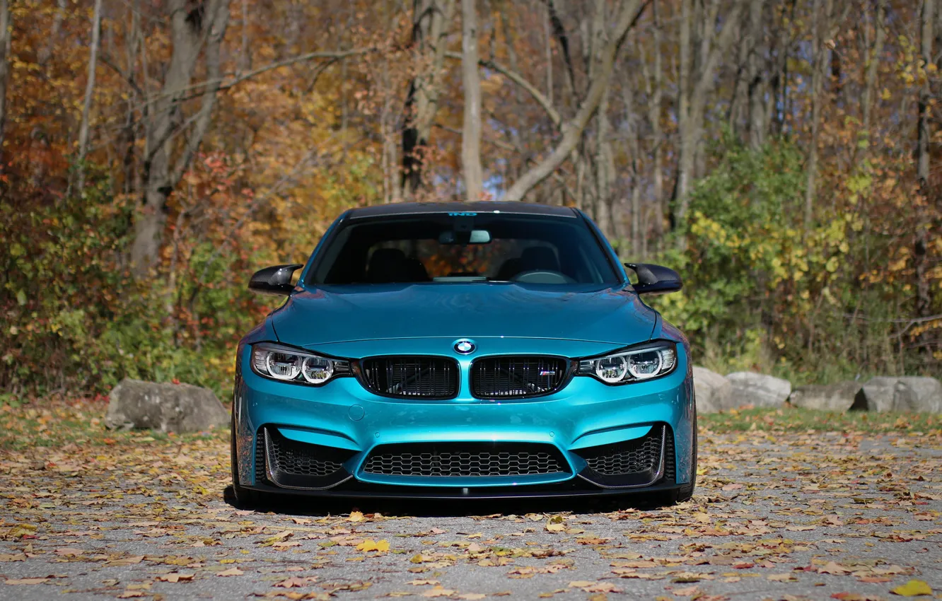 Фото обои BMW, Autumn, Face, F80, Sight