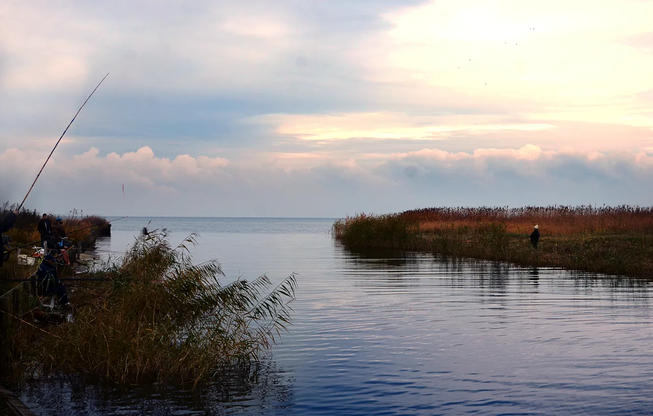 Фото обои море, залив, Балтика