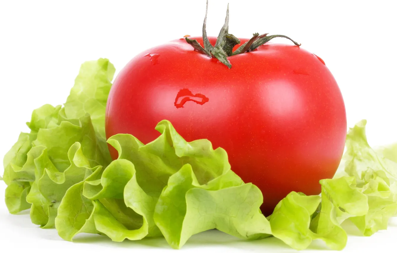 Фото обои зелень, макро, свежесть, помидор, капли воды, салат, спелый плод
