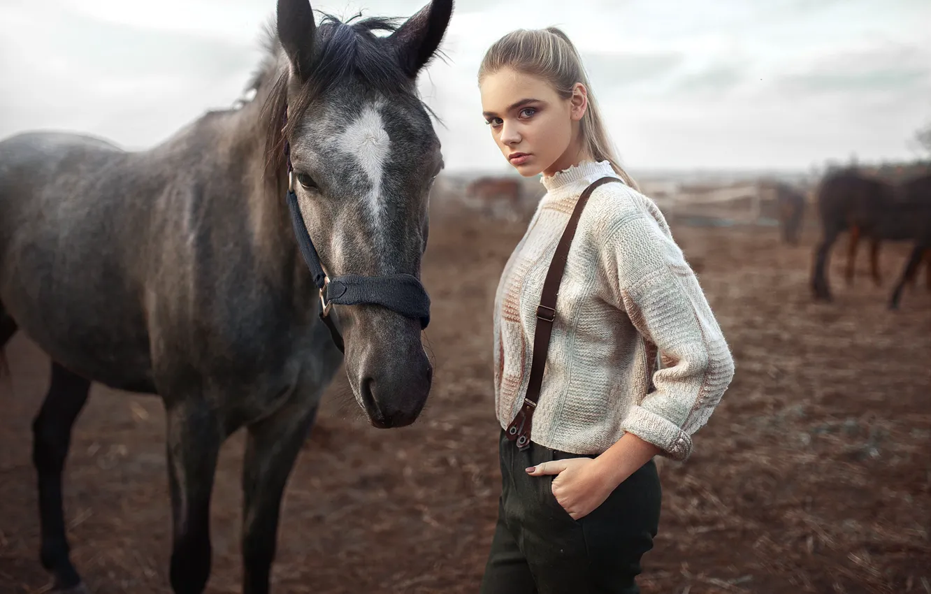 Фото обои взгляд, лошадь, Девушка, Макс Кузин