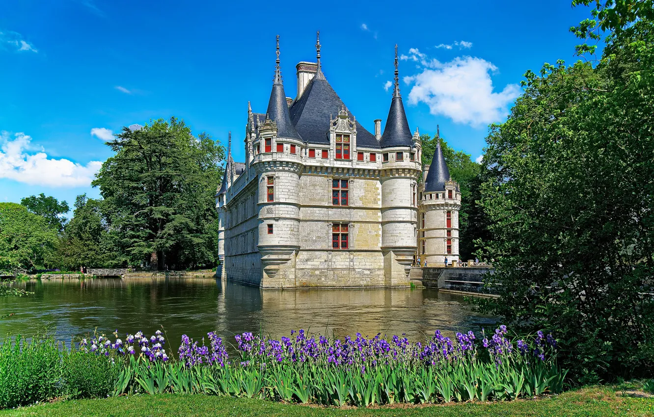 Фото обои цветы, река, замок, Франция