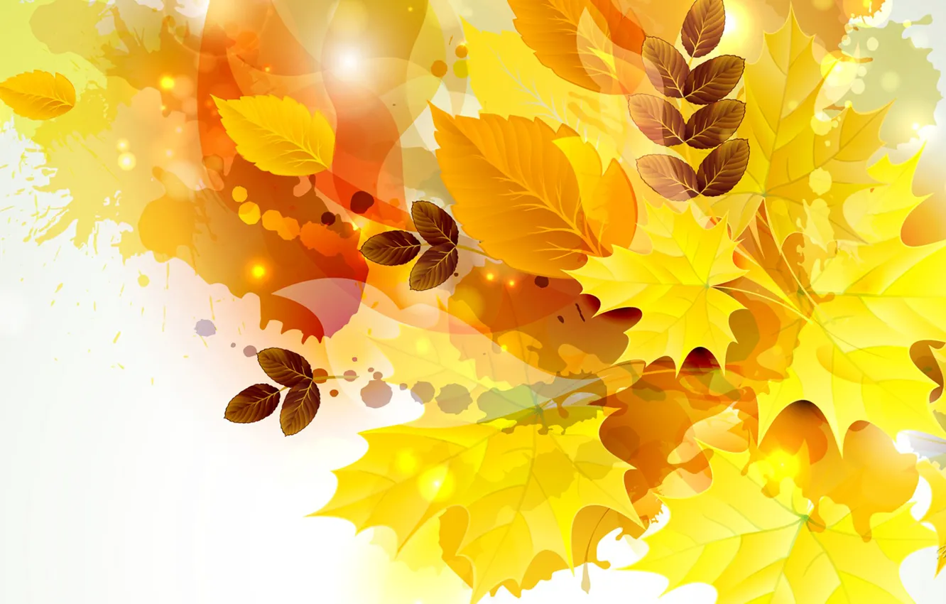 Фото обои осень, листья, природа, коллаж
