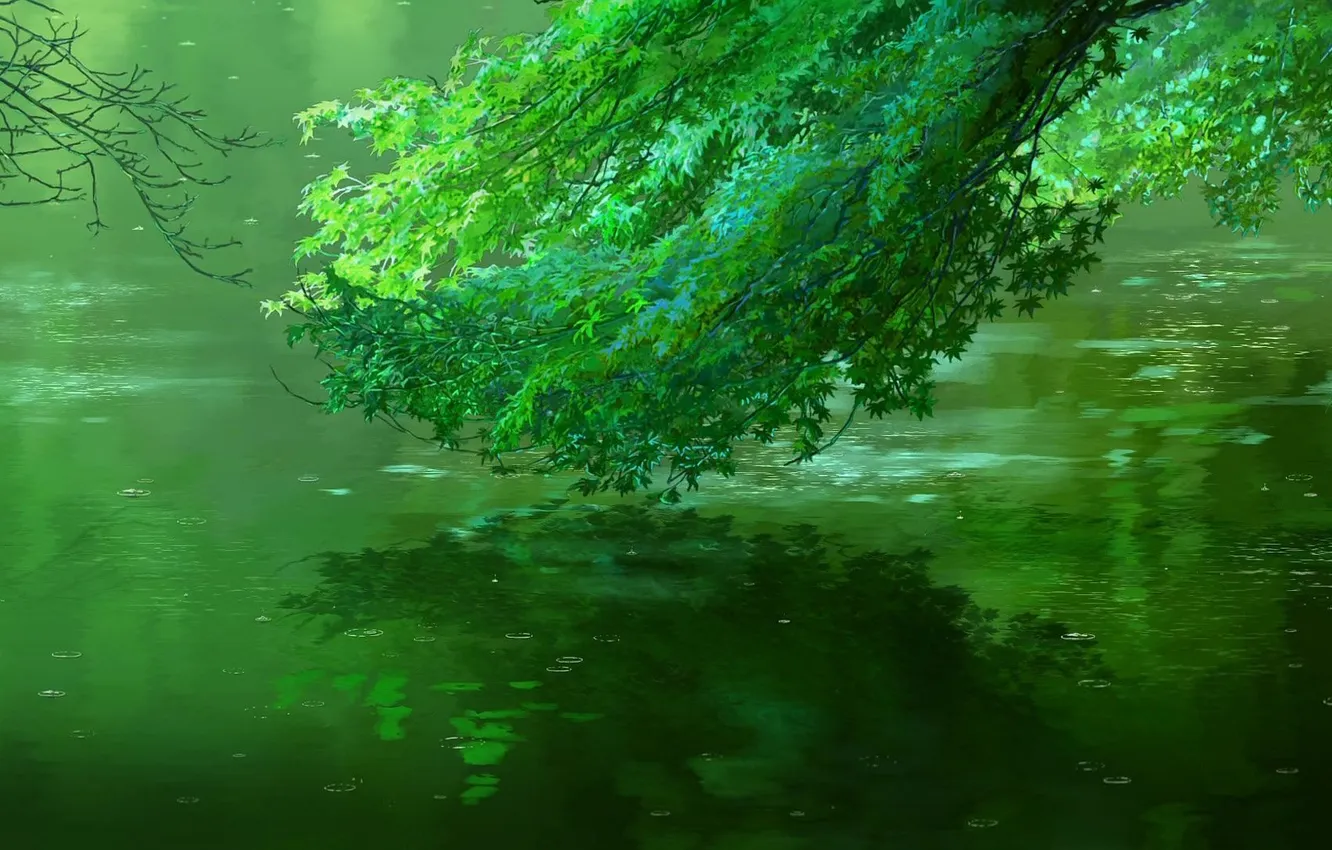 Фото обои вода, зеленый, пруд, дождь, ветка, Макото Синкай, Сад изящных слов